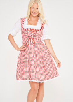 Midi Checkered Dirndl Elsa Rose Red_ Front Close View