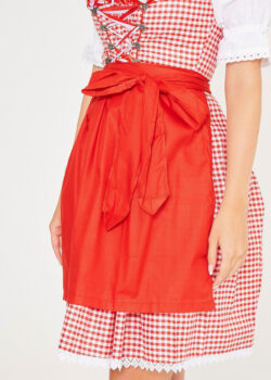 Midi Checkered Dirndl Elsa Rose Red_ Only Close