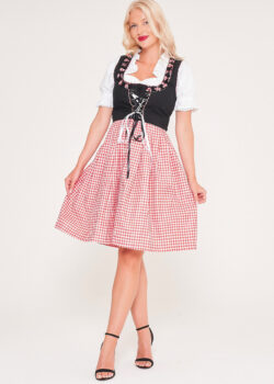 German Dirndl Dress Amara Black Pink_ Front View